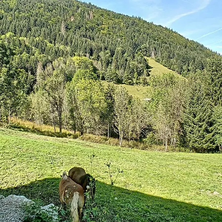 Joli Dans Avec Terrasse - Jean D'aulps - Proche Morzine - 6 Personnes - Lilou Daire